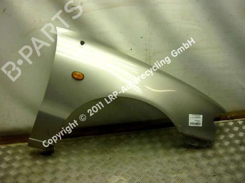 Right front fenders HYUNDAI ACCENT I (X-3) 1.3 | BP20557663C42 