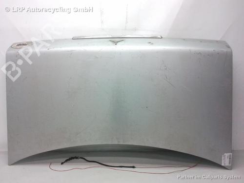 Used Tailgate VW GOLF III (1H1) 1.4 (60 hp) 20550513