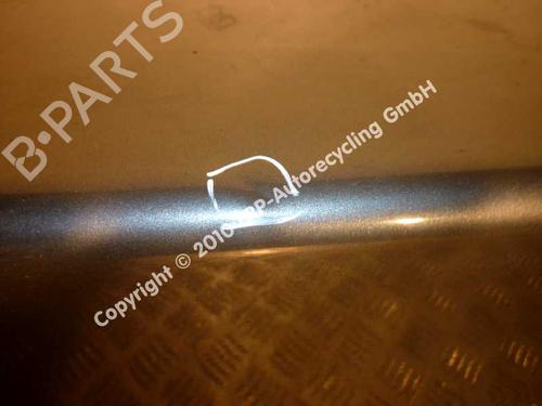 Tailgate PEUGEOT 406 (8B) 1.8 16V | BP20550667C6 