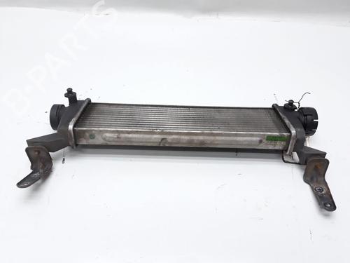 Intercooler MERCEDES-BENZ VANEO (414) 1.7 CDI (414.700) | BP20559100M30 
