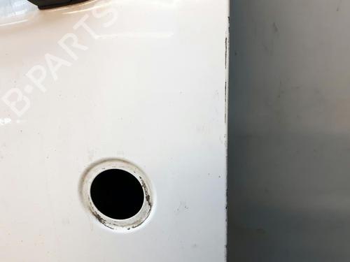 Left front door FORD TRANSIT CONNECT (P65_, P70_, P80_) 1.8 TDCi | BP20581737C2 
