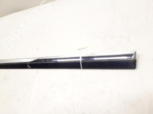 Dørliste VW PHAETON (3D1, 3D2, 3D3, 3D4, 3D6, 3D7, 3D8, 3D9) 3.0 V6 TDI 4motion | BP20516897C150 