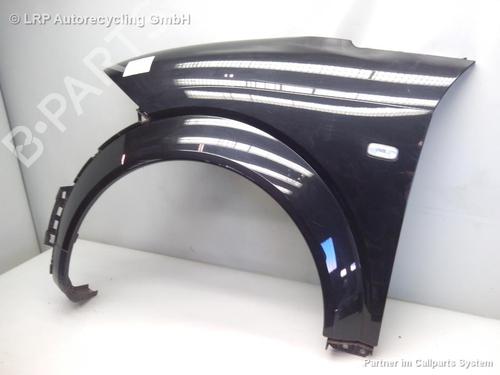 Left front fenders AUDI A2 (8Z0) 1.4 TDI | BP20557806C41 