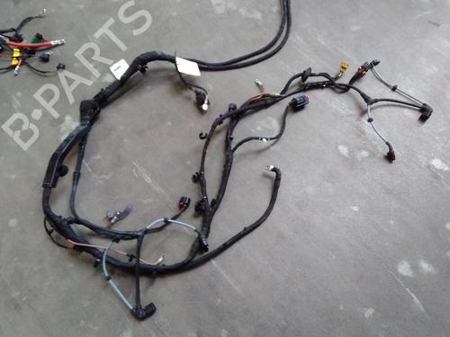 Wiring harness SKODA ENYAQ iV SUV (5AZ) 80X 4x4 | BP20519870E16