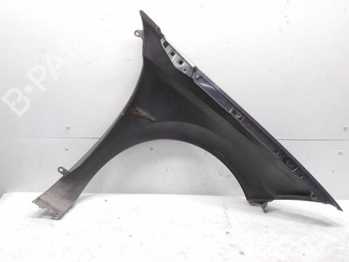 Left front fenders RENAULT MEGANE II Coupé-Cabriolet (EM0/1_) 2.0 | BP20595370C41 