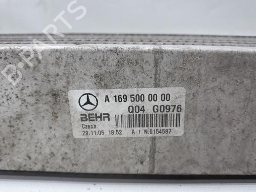 Intercooler MERCEDES-BENZ B-CLASS Sports Tourer (W245) B 200 CDI (245.208) | BP20559106M30