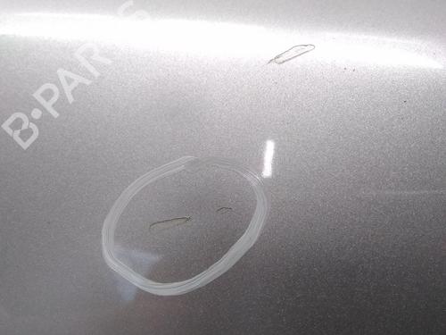 Left front fenders SKODA ROOMSTER (5J7) 1.4 | BP29013311C41 