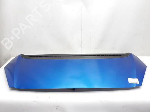 Hood PEUGEOT 1007 (KM_) 1.4 HDi | BP20562951C1 