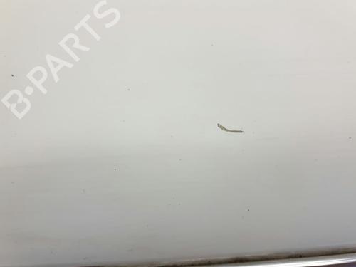Right rear door VW PHAETON (3D1, 3D2, 3D3, 3D4, 3D6, 3D7, 3D8, 3D9) 3.0 V6 TDI 4motion | BP20578001C5 