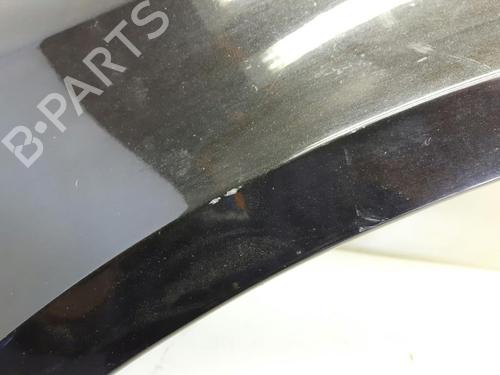 Left front fenders RENAULT LAGUNA II Grandtour (KG0/1_) 1.9 dCi (KG1V) | BP20557749C41 