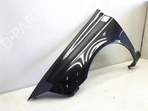 Left front fenders RENAULT LAGUNA II Grandtour (KG0/1_) 1.9 dCi (KG1V) | BP20557749C41 