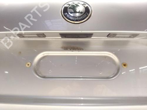 Tailgate SKODA FABIA II (542) 1.2 | BP31653541C6 