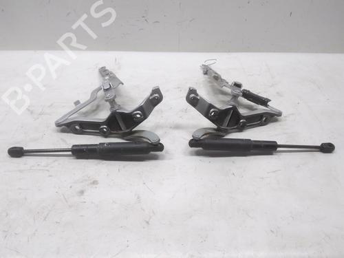 Hinge/Door check strap MERCEDES-BENZ S-CLASS (W221, V221) S 350 (221.056, 221.156) | BP20594355C146 