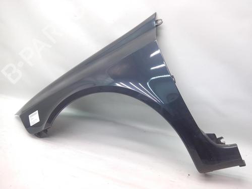 Left front fenders RENAULT LAGUNA II (BG0/1_) 1.9 dCi (BG1A, BG1V) | BP20557843C41 