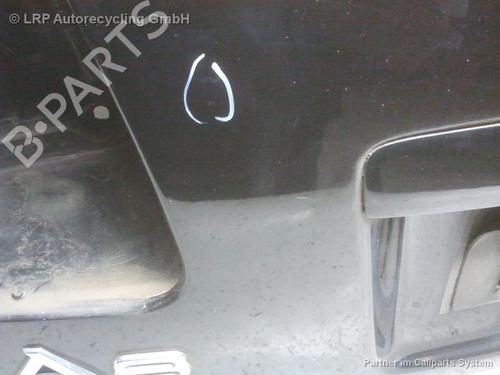 Bagklap CC/Kombi-Coupé AUDI A8 D3 (4E2, 4E8) 4.2 quattro | BP20550541C6