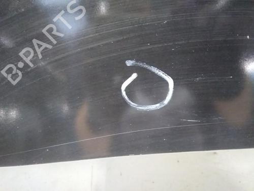 Hood PEUGEOT 206+ (2L_, 2M_) 1.4 i (2LKFWA, 2MKFWA) | BP20594306C1