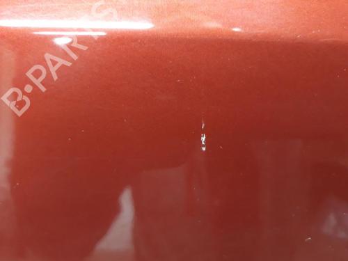 Right front door RENAULT SCÉNIC II (JM0/1_) 1.9 dCi (JM14) | BP20582390C3 