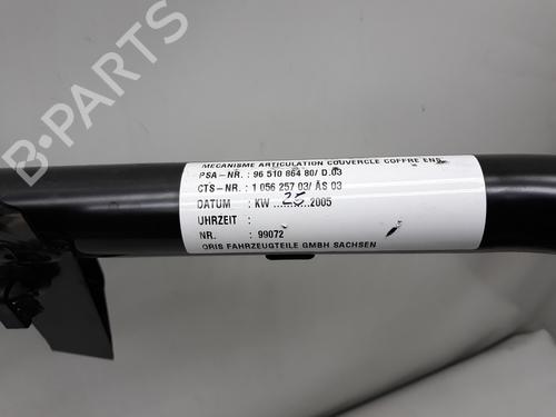 Tailgate PEUGEOT 307 CC (3B) 2.0 16V | BP20519569C6 