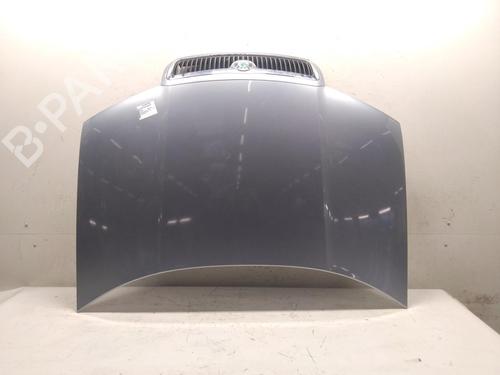 Panser SKODA FABIA I (6Y2) 1.4 16V (75 hp) 31863246