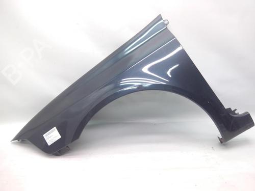 Left front fenders RENAULT LAGUNA II (BG0/1_) 1.9 dCi (BG1A, BG1V) | BP20557843C41 