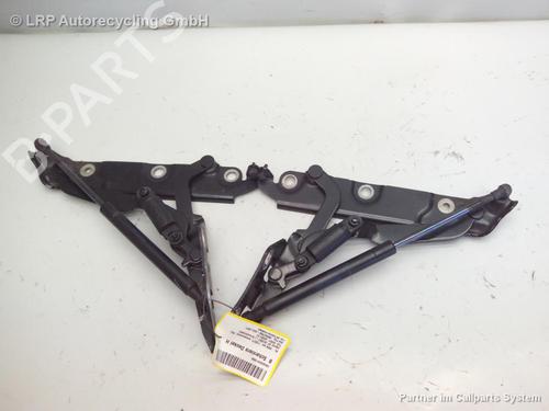 Hinge/Door check strap JAGUAR XF I (X250) 3.0 D | BP20568271C146