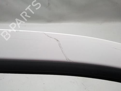 Right front door FORD TRANSIT CONNECT (P65_, P70_, P80_) 1.8 TDCi | BP20582125C3 
