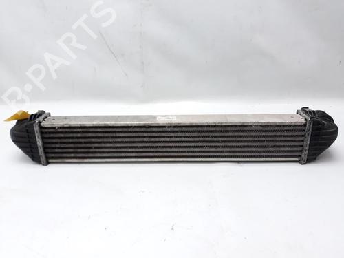 Intercooler MERCEDES-BENZ B-CLASS Sports Tourer (W245) B 200 CDI (245.208) | BP20559106M30