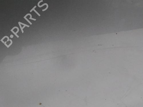 Right front door RENAULT CLIO III (BR0/1, CR0/1)  | BP20590586C3 