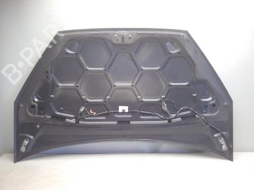 Hood FORD GALAXY II (WA6) 2.0 TDCi | BP20562763C1 