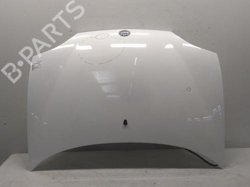 Used Hood FIAT SEICENTO / 600 (187_) 1.1 (187AXB, 187AXB1A, 187AXC1A02) (54 hp) 20522587