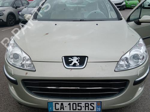 Hinge/Door check strap PEUGEOT 407 (6D_) 2.0 16V (6DRFJC, 6DRFJE, 6DRFJF) | BP31582729C146 