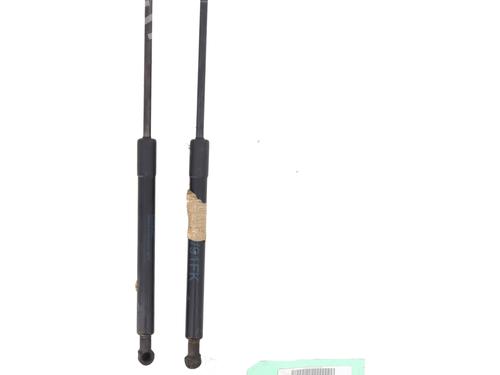 Hood lift support BMW 3 (E90) 320 d | BP29407520C139 