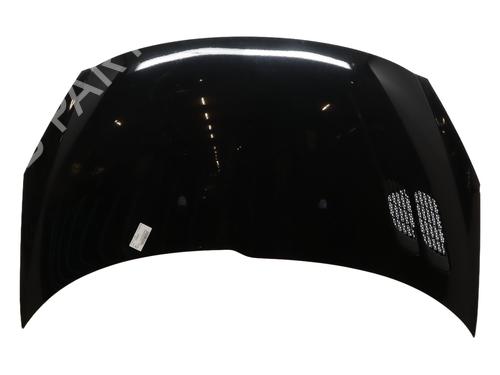 hood-peugeot-206-2l_-2m_-2009-2010-2011-2012-2013-32200038 main image