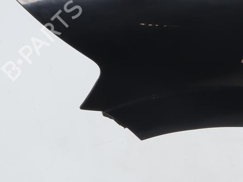 Błotnik przedni lewy CITROËN C3 I (FC_, FN_) 1.1 i | BP30915233C41