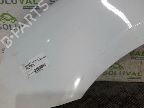 Left front fenders PEUGEOT 307 (3A/C) 1.6 16V | BP22002998C41