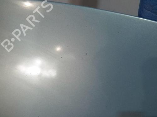 Hood RENAULT CLIO III (BR0/1, CR0/1) 1.5 dCi (C/BR0G, C/BR1G) | BP20369413C1 