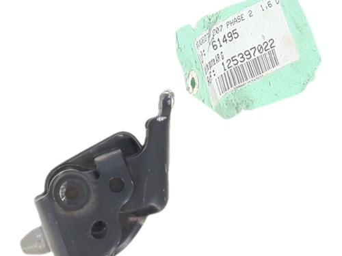 Used Hinge/Door check strap Hinge/Door check strap PEUGEOT 207 (WA_, WC_) 1.6 HDi (90 hp) 34532658 34532658