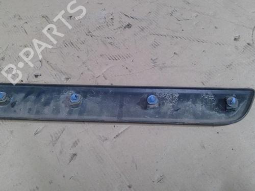 door-moulding-trim-renault-kangoo-express-fw01_-2008-31393053 main image