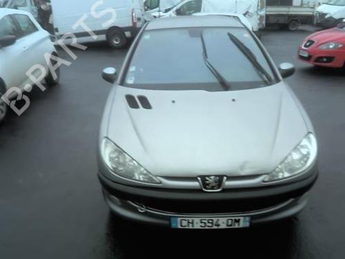 Grille PEUGEOT 206 Hatchback (2A/C) 1.4 16V | BP22894455C40 