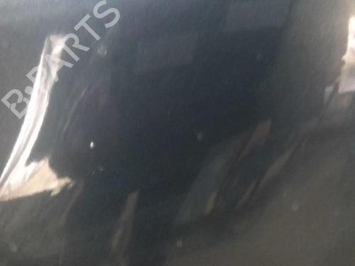 Left front fenders RENAULT SCÉNIC III (JZ0/1_) 1.5 dCi | BP20359128C41 
