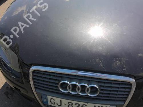 Front left door window AUDI A3 (8P1) 1.9 TDI | BP29196911C18 