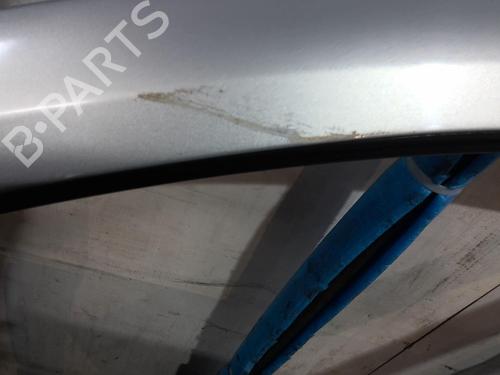 Left front door RENAULT LAGUNA II (BG0/1_) 2.2 dCi (BG0F) | BP20365651C2 