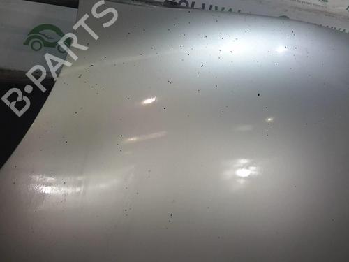 Hood FORD PUMA (EC_) 1.7 16V | BP20362184C1 