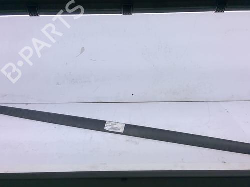 door-moulding-trim-renault-twingo-ii-cn0_-2007-32863794 main image