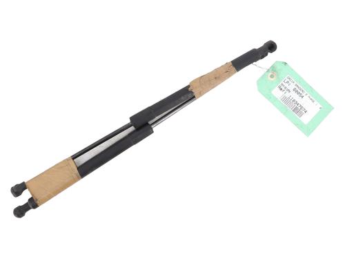 Tailgate lift support DACIA SANDERO II TCe 90 (B8M1, B8MA, B8AC) | BP28160029C138