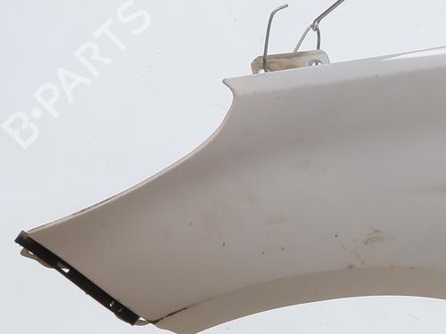 Parafango anteriore sinistro Parafango anteriore sinistro HYUNDAI i20 I (PB, PBT) 1.4 CRDi (75 hp) 36956028 36956028