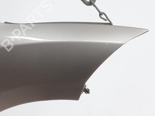 Right front fenders RENAULT MEGANE III Hatchback (BZ0/1_, B3_) 1.5 dCi (BZ0C) | BP29493118C42 