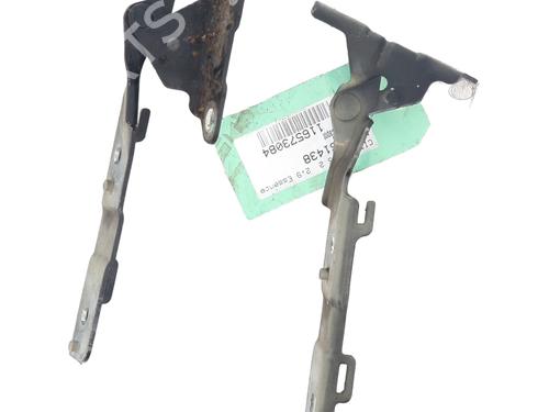 Used Hinge/Door check strap CITROËN C5 III (RD_) 3.0 V6 (RDXFVJ) (211 hp) 31604147