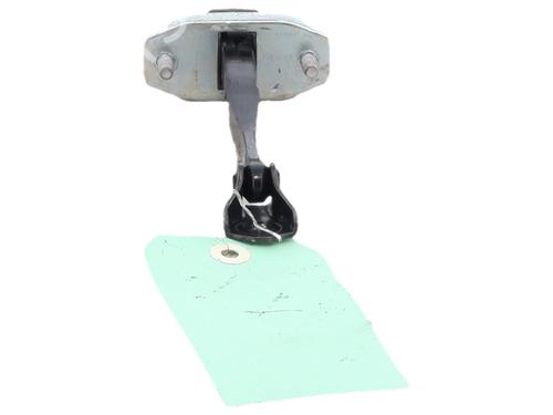 hingedoor-check-strap-dacia-sandero-iii-2021-37743250 main image