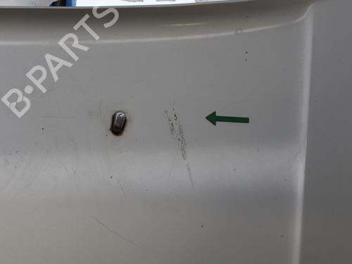 Hood FORD TRANSIT CONNECT (P65_, P70_, P80_) 1.8 TDCi | BP25276091C1 